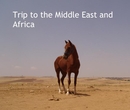 Trip to the Middle East and Africa