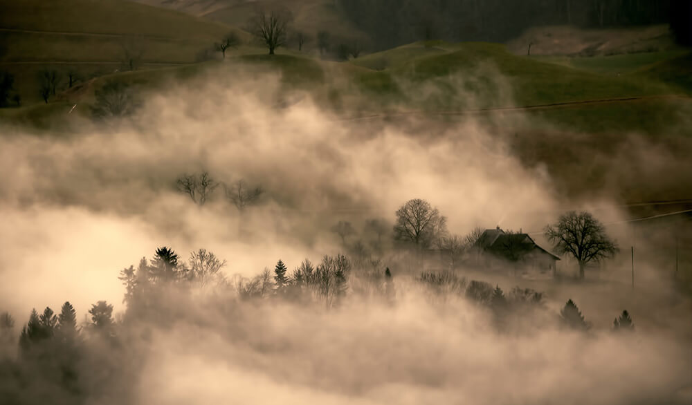 How to Photograph Fog