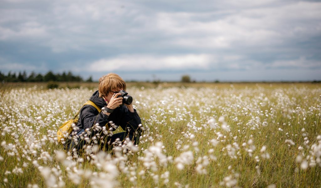 Landscape Photography Tip: Find a focal point