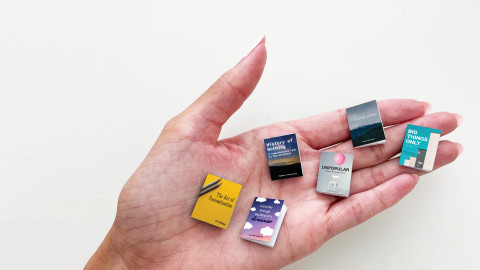 Blurb introduces tiny books