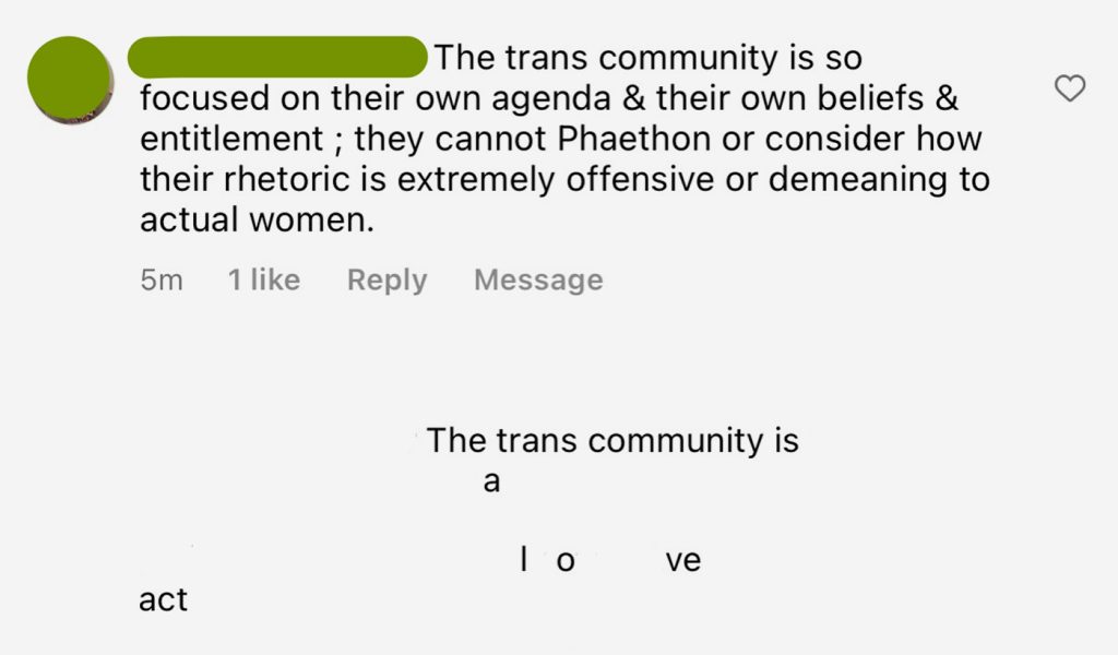 Transphobic comment turned into a transpositive poem verse