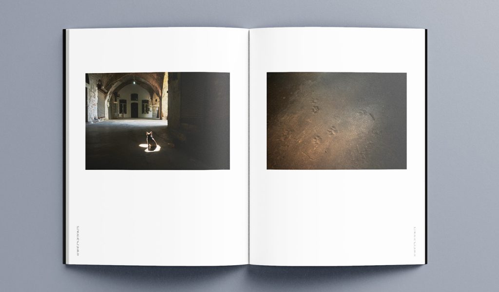 A spread from the photobook East to West showing a small animal in a patch of sunlight and paw prints in the dirt.